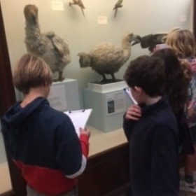 Y6 Natural History Museum Trip 2022 - Photo 2
