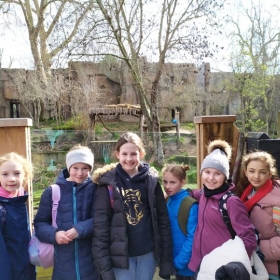 Y5 Geography Trip to the Zoo 2023 - Photo 2