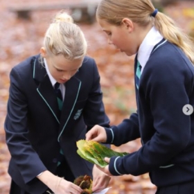 Golden Eagle - Photo 1