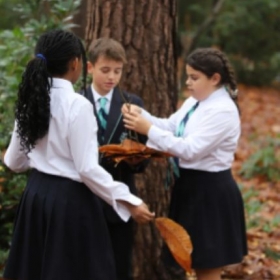 Golden Eagle - Photo 2