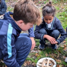 Golden Eagle - Photo 3