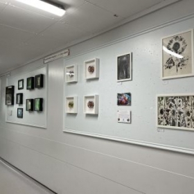 Artwork Displayed at Royal Berkshire Hospital - Photo 2
