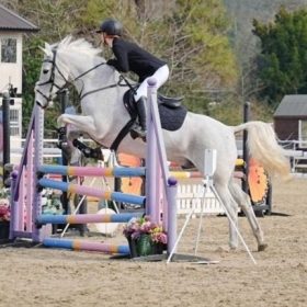 Equestrian Compete at Hampshire Dressage - Photo 2