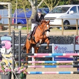 Equestrian Compete at Hampshire Dressage - Photo 3