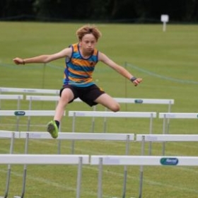 Raising the Bar in Athletics - Photo 3