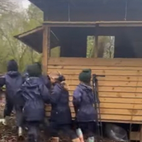 Big Garden Birdwatch at KES Prep - Photo 1