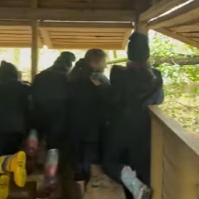 Big Garden Birdwatch at KES Prep - Photo 2