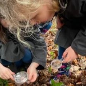 Infant's Forest School - Photo 1