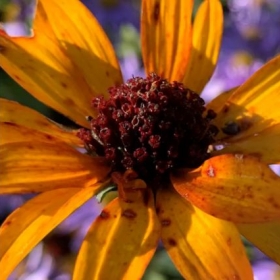 Celebrating Our Young Photographers! - Photo 1