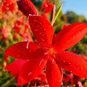 Celebrating Our Young Photographers! - Photo 2