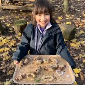 Creating Christmas Magic in the Woods - Photo 2