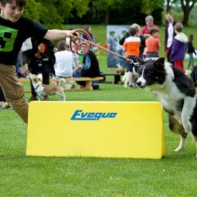 Bedales Prep, Dunhurst, host successful Dog Show - Photo 3