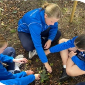 The Gregg Outdoors - Photo 3