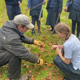 Tudor Hall girls plant 100s of trees to mark our 175th birthday - Photo 1