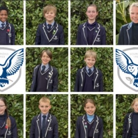 Outstanding 11  Success for Barfield Year 6 Pupil