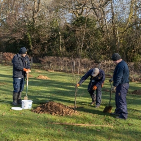 Commemorative Copse - Photo 1