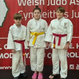 17 Years of Kingsley Judo: A Legacy of Excellence - Photo 2
