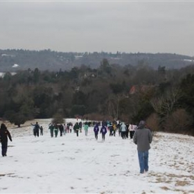 Box Hill School staff and students climb a snowy Box Hill - Photo 1