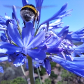 Halliford School Welcomes Spring With Inter-House Photography Competition - Photo 2