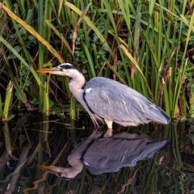 Halliford School's Inter-House Photography Competition 2026 - Photo 3