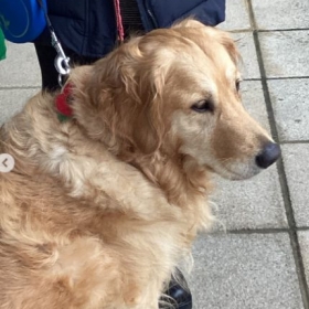 Cassie has a very busy time! - Photo 2