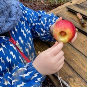Spring Grove's Forest School