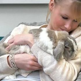 Life in the House: How Boarding Builds Community - Photo 2